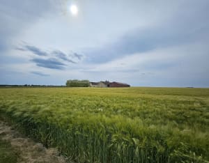 De Nemours à Souppes-sur-Loing par le GR13 - Howard - 2