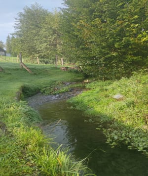 Le chemin du Gué de la Salle - Freneuse-sur-Risle - 18