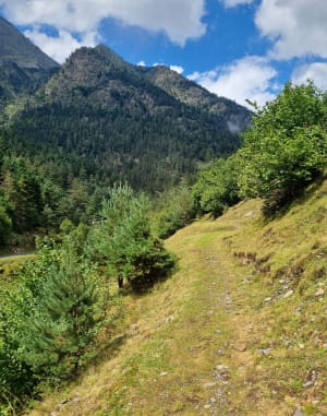 Sentier des vaches - Saint-Lary-Soulan - 14