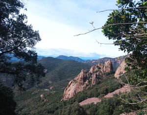 Kleurrijke wandeling naar de Col en Pic du Cap Roux - Saint-Raphaël - 31
