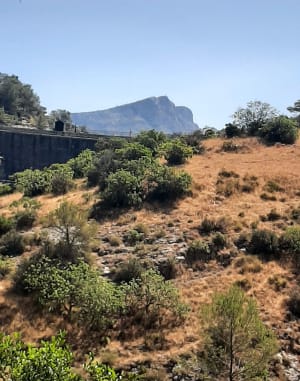 Paul Cézanne et les lumières de la Sainte Victoire - Le Tholonet - 5