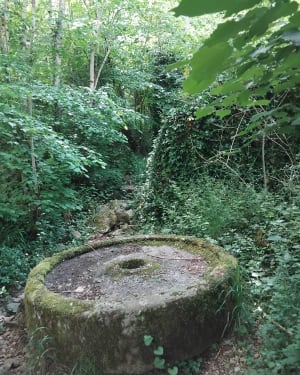 Château de l'Ours - Lignerolles - 5