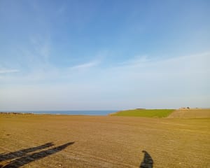 Sotteville-sur-Mer - Sotteville-sur-Mer - 9