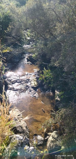 Sentier des Crêtes et piste des Campons de Roquebrune - Roquebrune-sur-Argens - 3