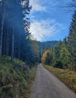 Lac blanc, noir : les Vosges envoient de toutes les couleurs - Orbey - 38