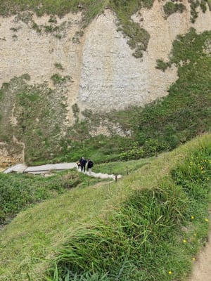Entre plage et bois à Varengeville - Varengeville-sur-Mer - 7