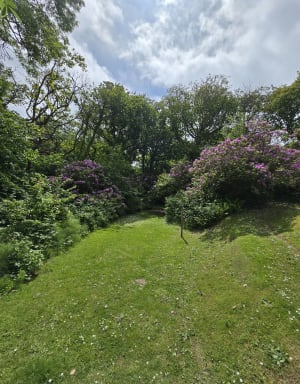 Entre plage et bois à Varengeville - Varengeville-sur-Mer - 11