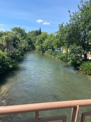 Colline de Piecau - Vedène - 4