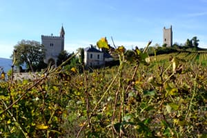 Les Tours de Chignin et Saint Anthelme - Chignin - 10