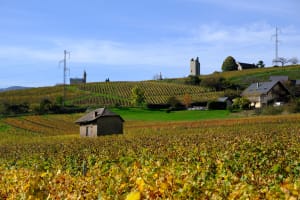 Les Tours de Chignin et Saint Anthelme - Chignin - 12