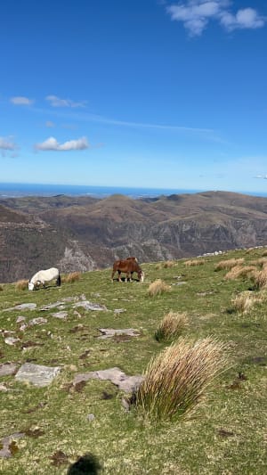 Foto van Iparla uit Elichagaray - Saint-Étienne-de-Baïgorry - 8