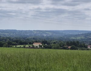 A travers les haras du Pays d'Auge - Sonia - 3