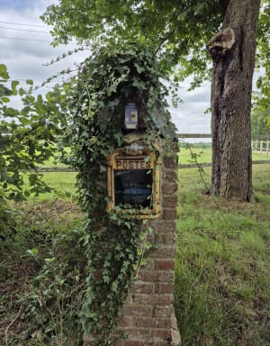 A travers les haras du Pays d'Auge - Sonia - 6
