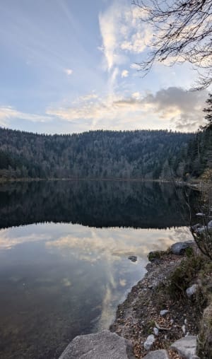 Raven Lake en zijn uitzichtpunt - La Bresse - 107