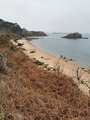 Tronçon GR34 de Carantec, par la Pointe de Penn al Lann - Mathilde - 42