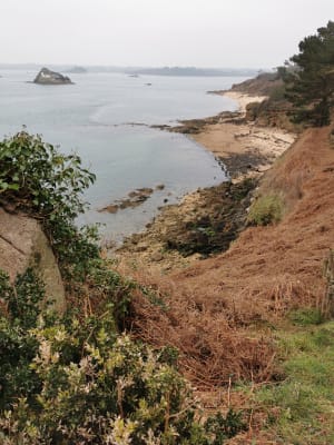Tronçon GR34 de Carantec, par la Pointe de Penn al Lann - Mathilde - 45