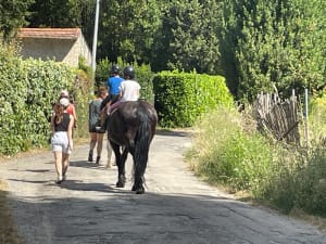 Balade en ceinture verte d'Avignon en VTC - Avignon - 5