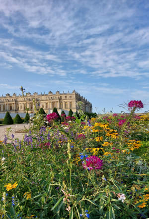 Petit BamBou: Méditer au parc du château de Versailles - Versailles - 4
