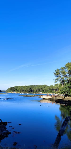 Les sens en éveil dans une nature en folie à Auray et au Bono ! - Auray - 11