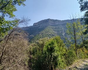 Randonnée aux Moulins de la Foux - Saint-Maurice-Navacelles - 18