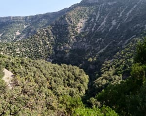 Randonnée aux Moulins de la Foux - Saint-Maurice-Navacelles - 21