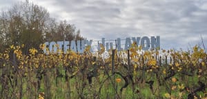 Coteaux du Layon et chant des cigales - Val-du-Layon - 10