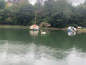 Rives de l'Elorn par Penvern - Nola - 6