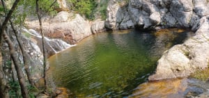 Jaujac, orgues, rivière et forêt - Jaujac - 9