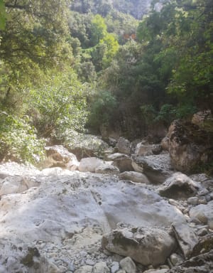 De boogbeek Vallon-Pont-d'Arc en de waterval van Pissevieille - Vallon-Pont-d'Arc - 154