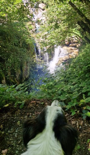 Les cascades de l'Artigue - Sylvie - 18