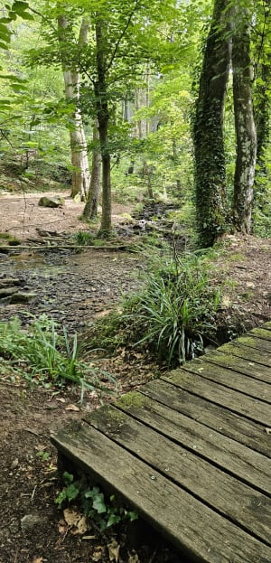 Promenade dans la vallée du Lude - Carolles - 24