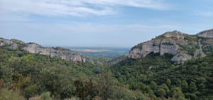 Sur la Crête des Alpilles - Saint-Rémy-de-Provence - 7