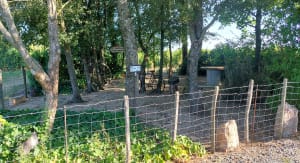 Evasion à Lancié et coup de cœur au château de Corcelles - daniel - 2