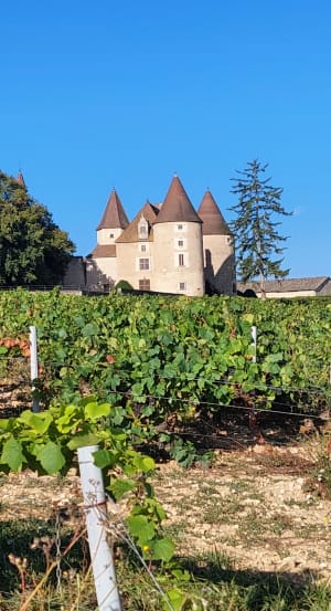 Evasion à Lancié et coup de cœur au château de Corcelles - daniel - 3