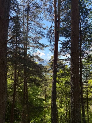 Le Belvédère entre Lançon et Gouaux - Lançon - 23