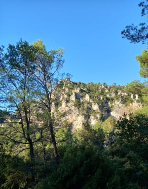La Roquebrussanne en de irisbronnen - La Roquebrussanne - 3