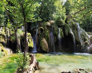 Wandel naar de Tufs-waterval en de kleine Cuisance-bron - Les Planches-prés-Arbois - 18
