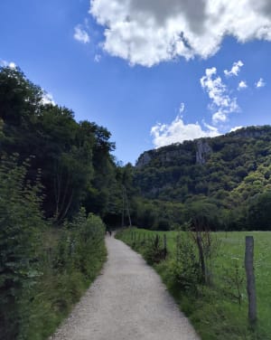 Wandel naar de Tufs-waterval en de kleine Cuisance-bron - Les Planches-prés-Arbois - 19