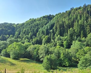 La Dordogne et ses 2 sources chaudes - La Bourboule - 8