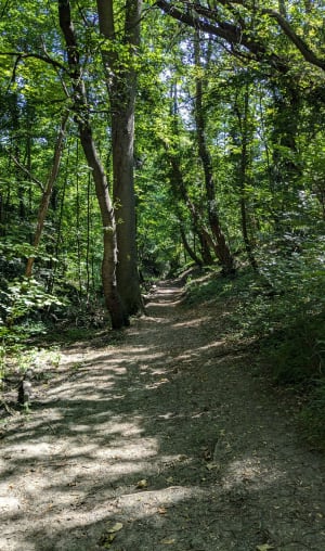 Korte wandeling boven Clermont - Clermont-Ferrand - 9