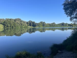 L'île Vielle à Mondragon par la Miat - Marielle  - 2