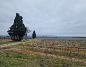 Multiples paysages Moussoulens - Moussoulens - 12