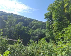 Tour de Drince - Moyeuvre-Grande - 7