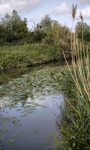 Vijver van Trévoix - Égly - 2