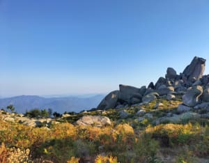 Ascension du Monte San Petru et panoramas corses - Petreto-Bicchisano - 17