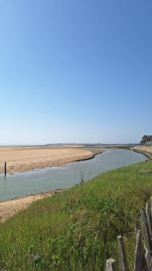 De la casse de la Belle Henriette à la plage des Chardons - L'Aiguillon-la-Presqu'île - 10