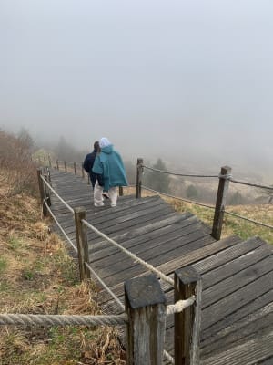 Afdaling van Puy de Dôme naar het station - Orcines - 25