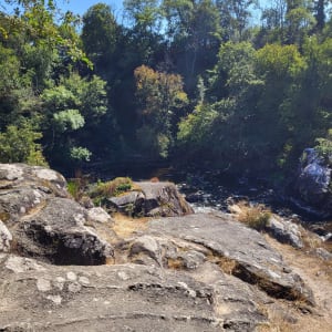 Terra aventura - Lathus-Saint-Rémy - 2