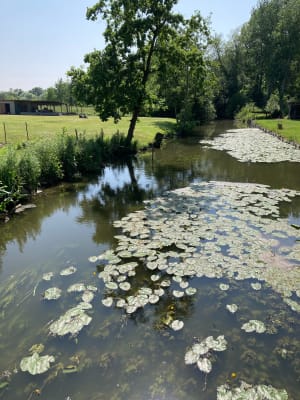 Etonnants marais de la Sensée et paysages authentiques - Paillencourt - 2
