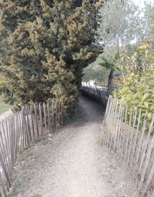 Randonnée La roche Curadeau, Gros Cerveau - Sanary-sur-Mer - 18